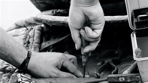 Leather Working Group Releases Summary Guide on Deforestation Laws for ...