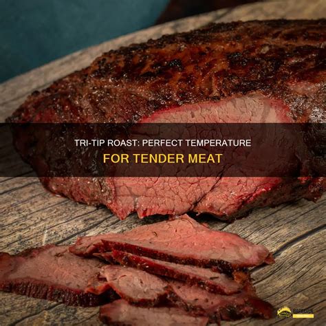 Tri-Tip Roast: Perfect Temperature For Tender Meat | ShunGrill