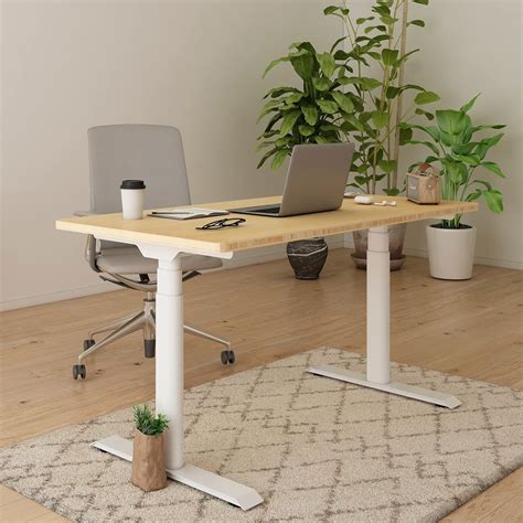 Buy FLEXISPOT EC8 Pro 3 Stages Dual Motor Electric Standing Desk with ...