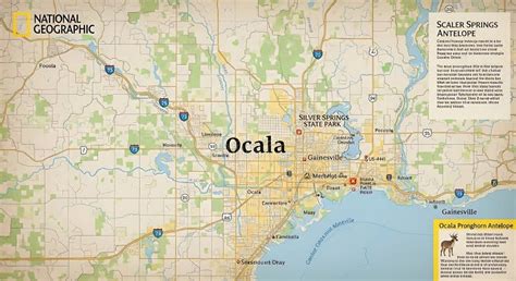 Ocala City Map with Surrounding Areas, Green Spaces, and Major Highways ...