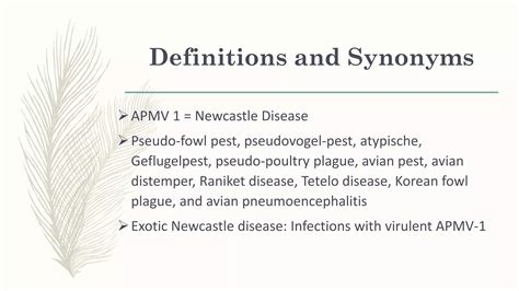 Newcastle disease outbreak in region III by Dr E Lapuz | PDF