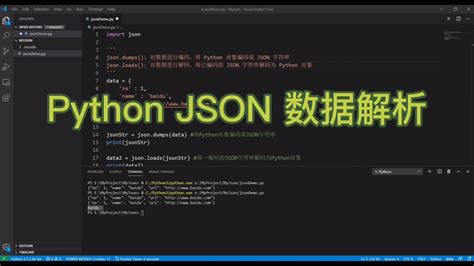 JSON در Python 的图像结果