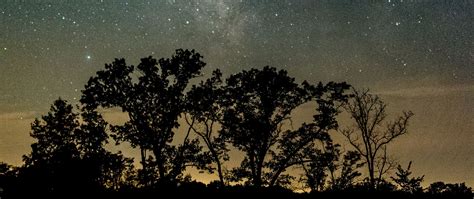 Download wallpaper 2560x1080 trees, silhouettes, starry sky, night ...