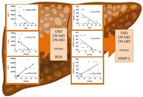 Fatty Acid Desaturase Involvement in Non-Alcoholic Fatty Liver Disease ...