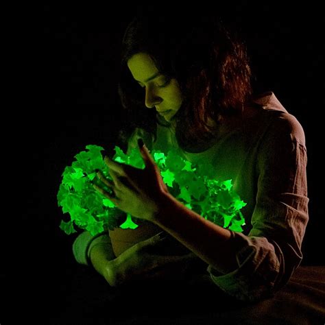 A Popular Bioluminescent Flower Firefly Petunia