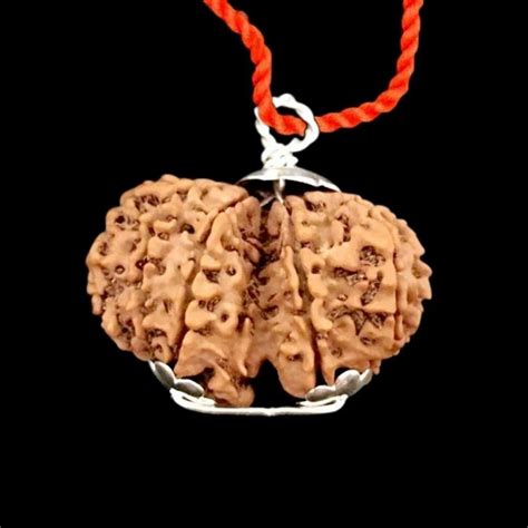 Gaurishankar Rudraksha - Gauri Shankar Nepali Rudraksha Trader ...