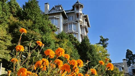Cedar Inn, Darjeeling |Official Website| Hotel in Darjeeling