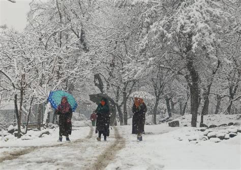 Snowfall in Ladakh: The Ultimate 2026 Guide You Can’t Skip!