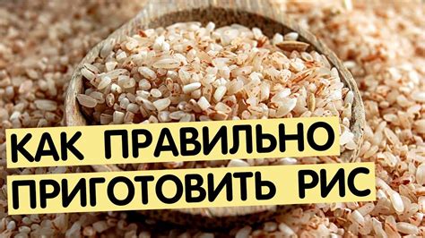 Бурый рис — польза и вред, как правильно готовить