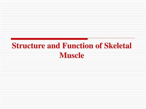 Image result for Skeletal Muscle Function