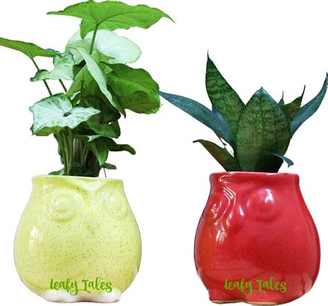 Leafy Tales Urn Ceramic Pot, Multicolour, 3 Inch, 3 Pots, Urn Set 3 ...