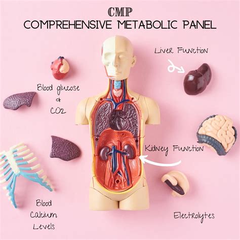 What Is Comprehensive Metabolic Panel