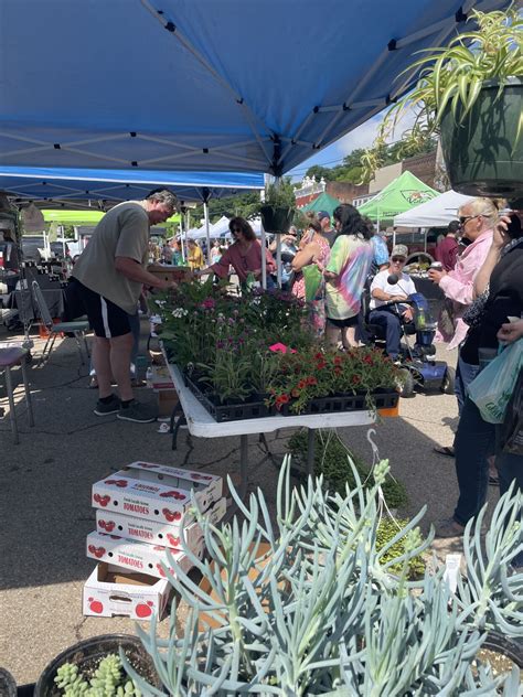 Meigs County (Ohio) Farmers Market draws large crowds | Gallipolis ...