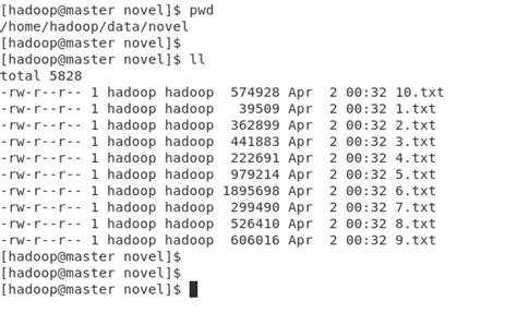 Hadoop in Python 的图像结果