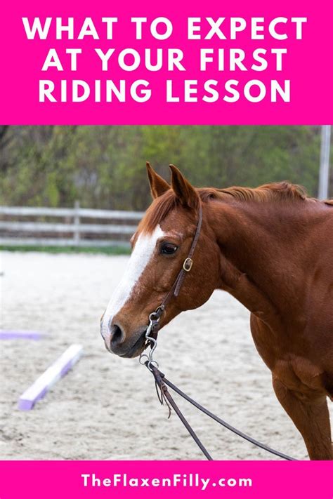 Image result for Beginner First Riding Lesson