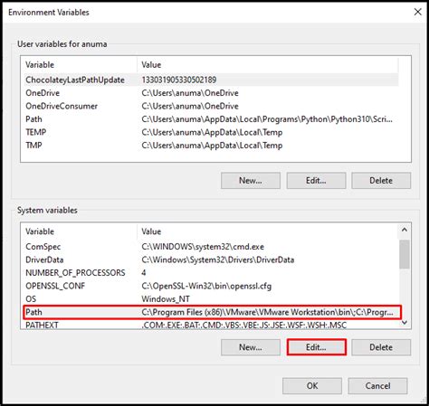 Path Variable Python 的图像结果