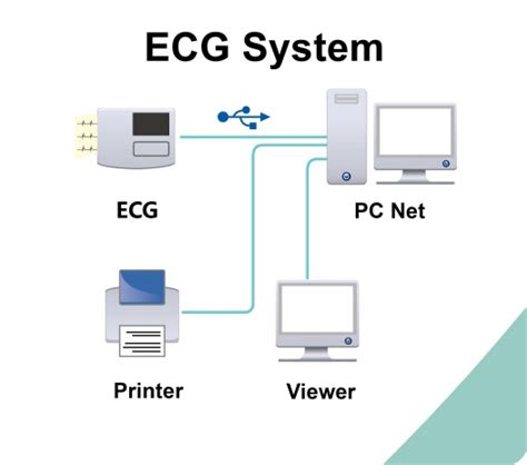 Steps for Using an ECG Machine 的图像结果