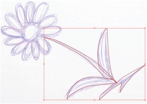 Image result for Convert Hand Drawing to Vector