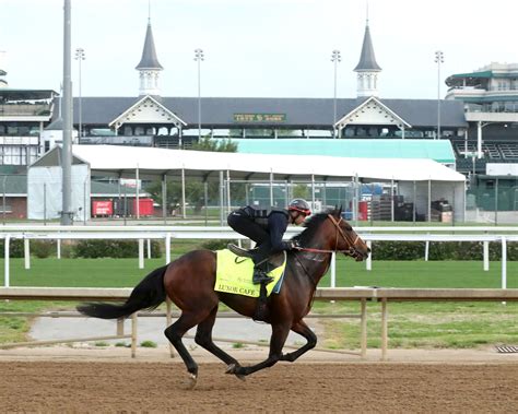 JAPANESE DERBY HOPEFULS LUXOR CAFÉ, ADMIRE DAYTONA BREEZE – The Crunch Zone