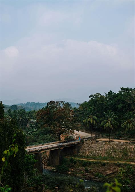 Person 的图像结果