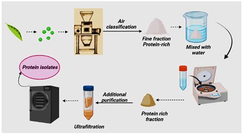 Image result for Pea Protein Extraction Process Flow Chart