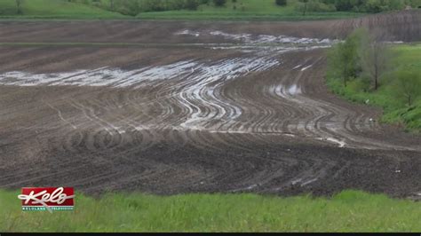 Lax enforcement enables SD farmers to illegally drain wetlands ...