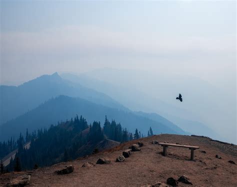 Image result for Shell Point Beach