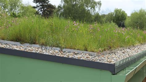 Image result for Spring Lane