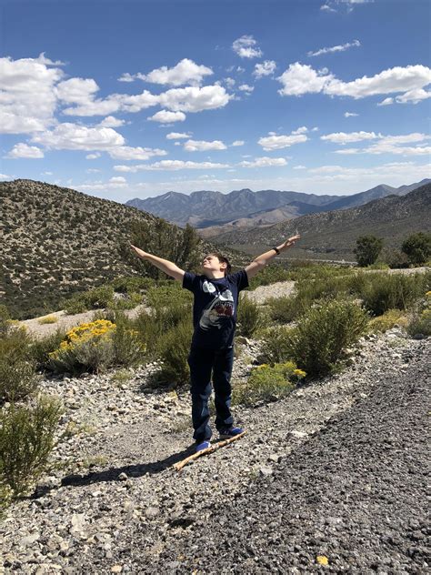 R There Mountains In Florida