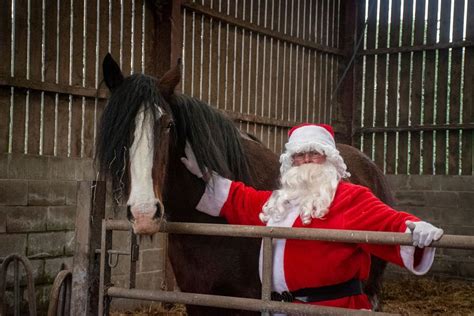 Christmas at Cotebrook - First Weekend, Cotebrook Shire Horse Centre ...