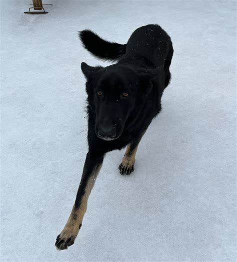 gianna pettus (@giannapettus) • Instagram photos and videos