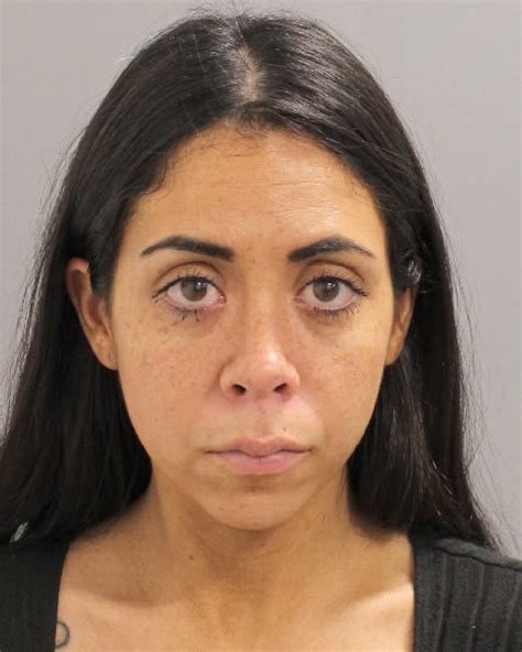 Wild Chase Ends in Drug Bust: Upper Brookville Duo Arrested After ...