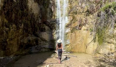 Easy Hike to Trail Canyon Falls in Los Angeles