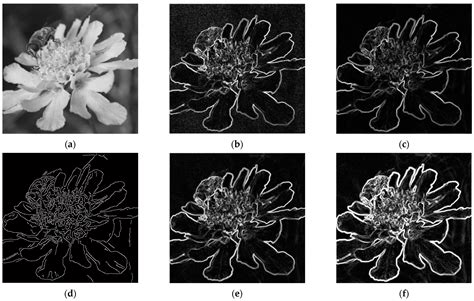 State-Aware High-Order Diffusion Method for Edge Detection in the ...