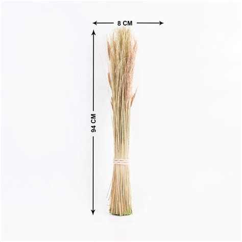 Buy Dastkari Dried Ting Ting Grass Bunch - 94cm from Home Centre at ...
