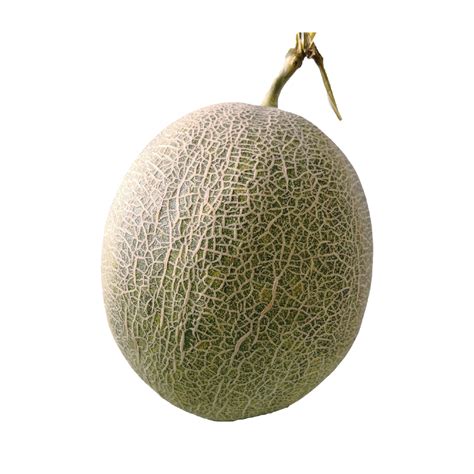 Image result for melon