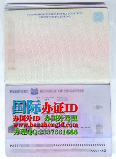 在线办新加坡护照|新加坡护照样本|Singapore pass-国际办证ID
