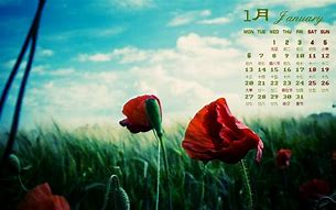 Image result for 1月份