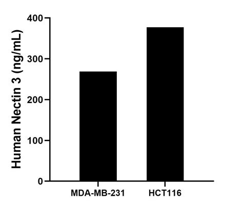 Nectin 3 Recombinant Matched Antibody Pair, PBS Only antibody (MP02144 ...