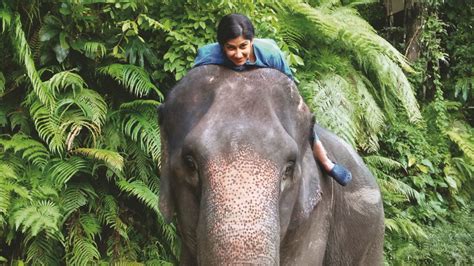 This enterprising woman is helping tribals become wildlife trackers ...