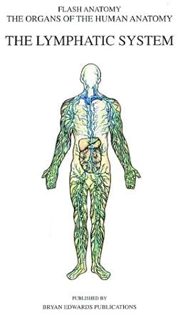 The Lymphatic System (Systems of Human Anatomy) : Braem, Thomas: Amazon ...