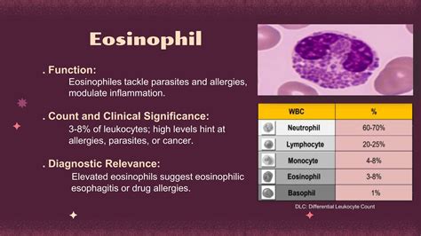 Differential Leukocyte count and function | PPTX
