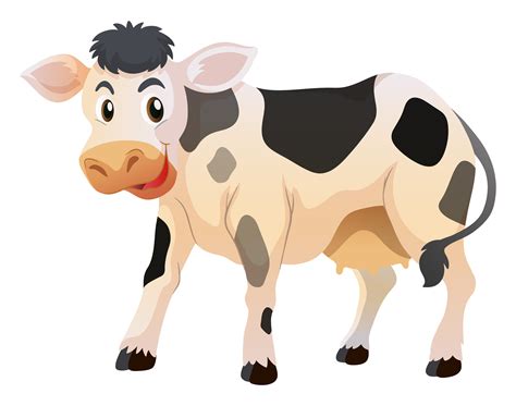 Heifer Cow Clip Art