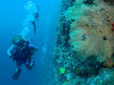 RABAUL DIVE ADVENTURES (2025) All You Need to Know BEFORE You Go (with ...