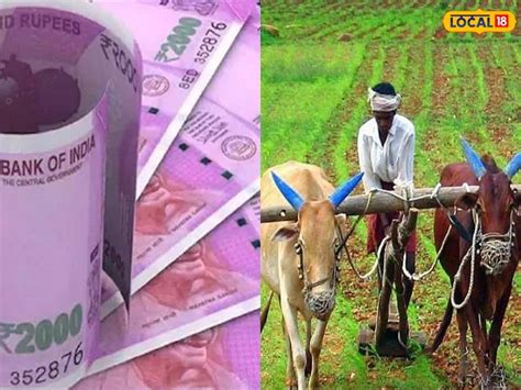 Farmers News: రైతులకు అలర్ట్.. ఈ మెషీన్‌తో భారీగా డబ్బులు ఆదా! | seed ...
