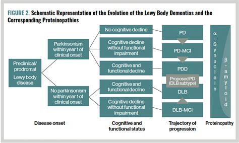 Image result for Dat Scan Lewy Body