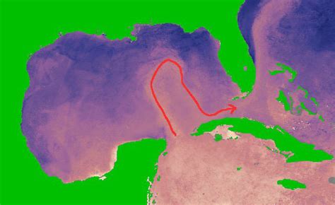 Image result for Loop Current