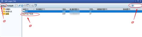 Open SAP through Python 的图像结果
