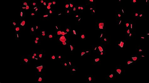 Image result for Twitter Algorithm Flow